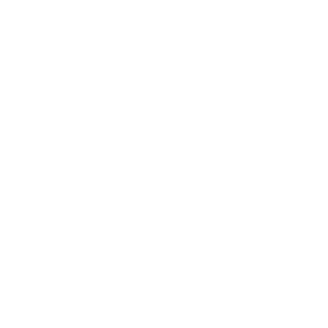 FLEUR DE PARIS